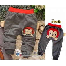 Pants Grey