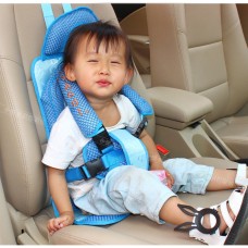 portable carseat