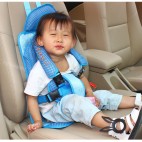 portable carseat